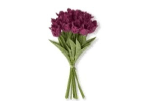 Flores