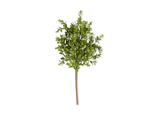 PLANTA