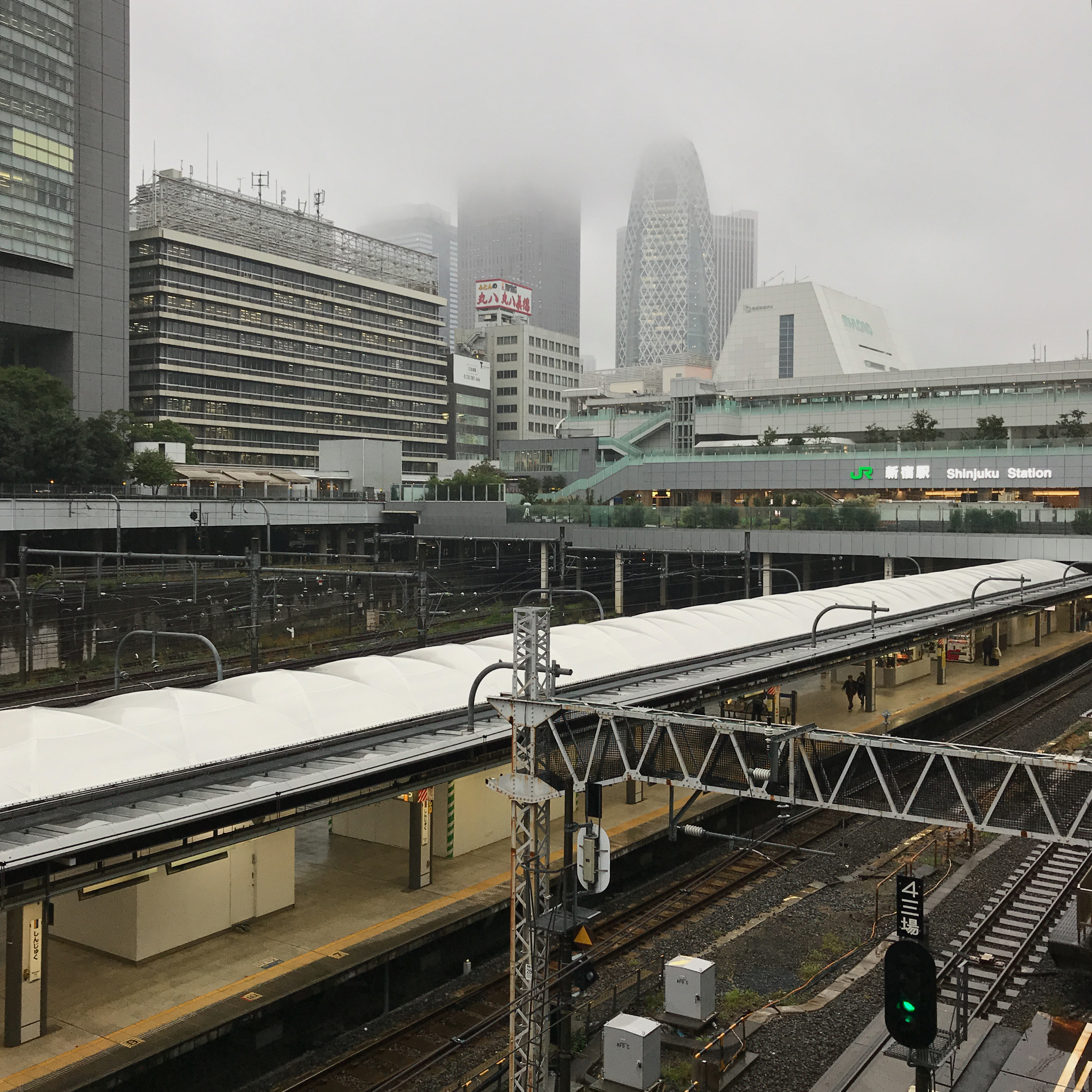 Haiku_14_ 14b_img_9989