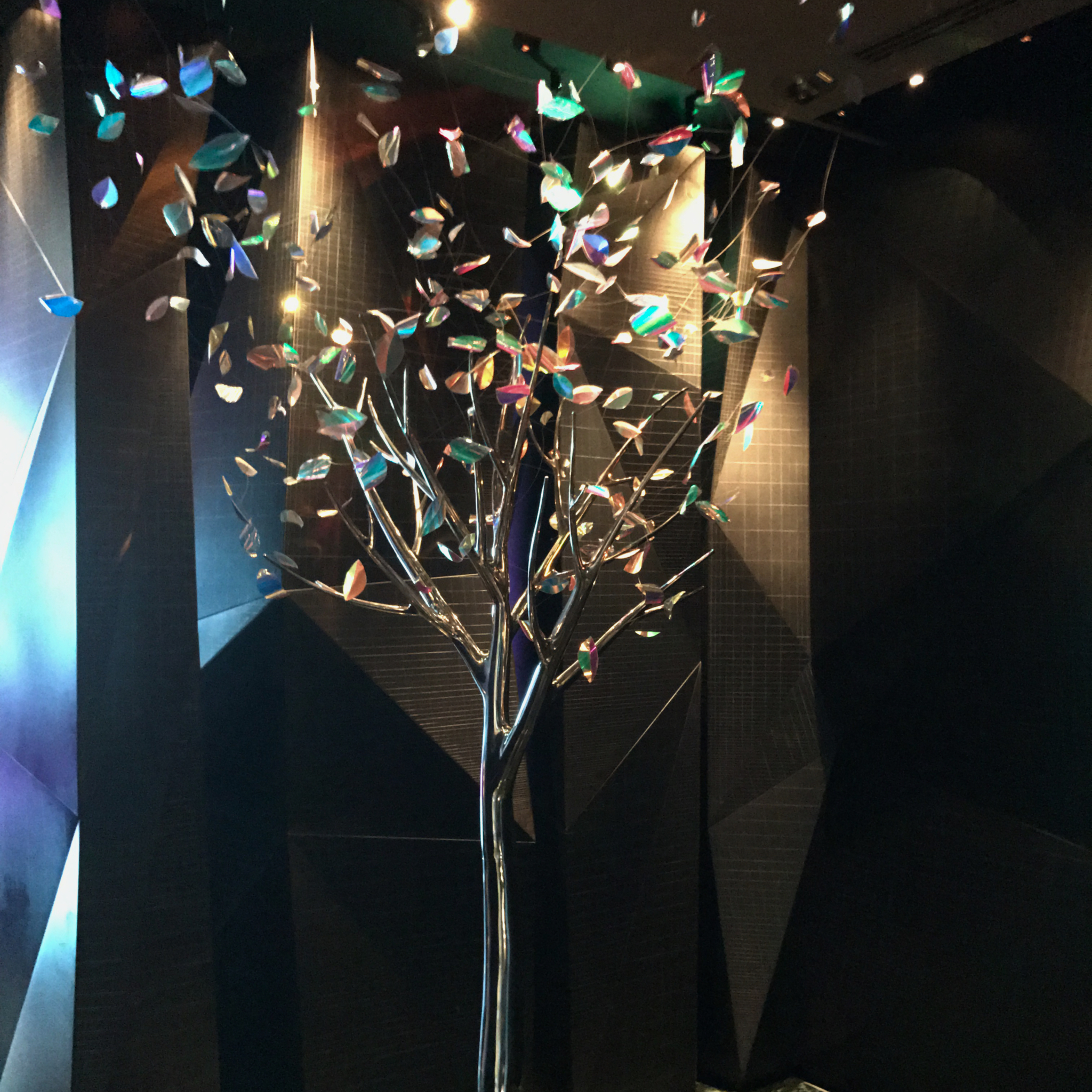 Haiku_1_ 1b_img_9237