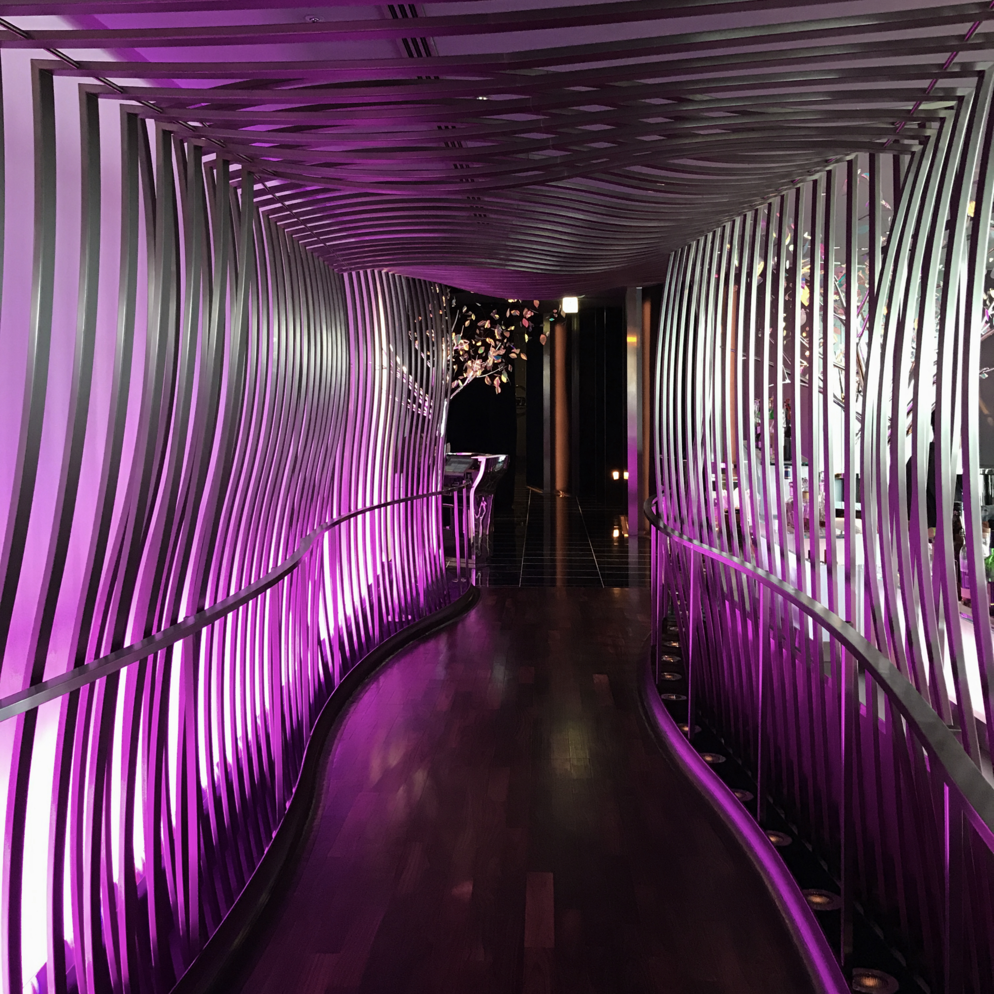 Haiku_2_ 2b_img_9235