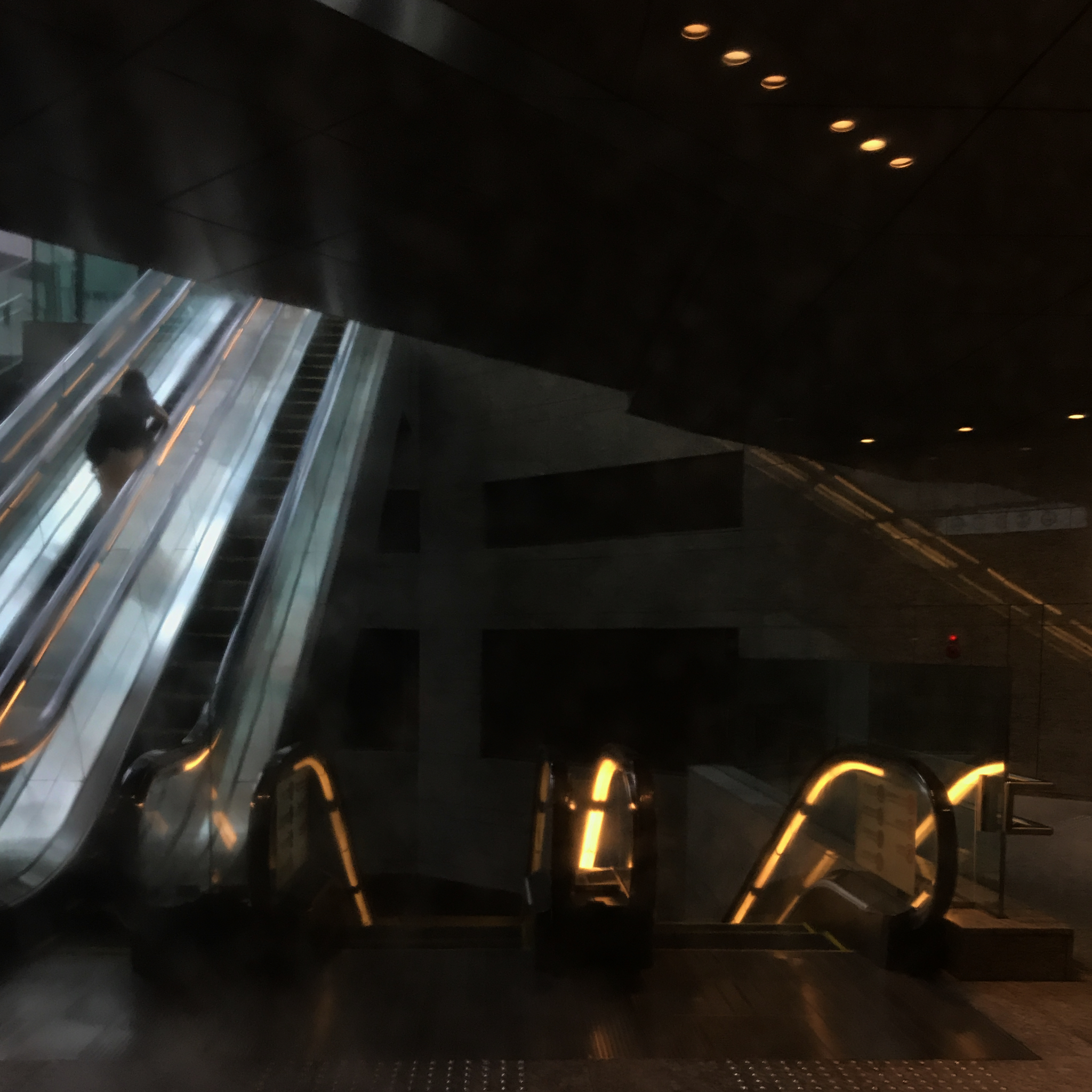 Haiku_5_ 5b_img_9310