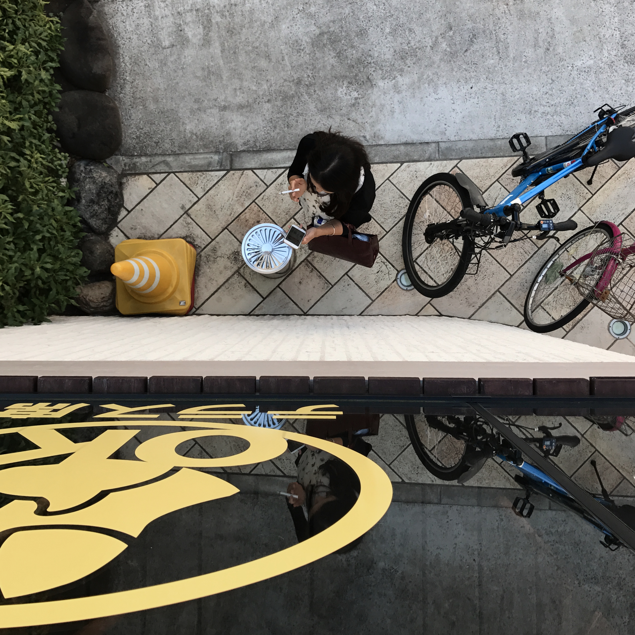 Haiku_6_ 6a_img_9595