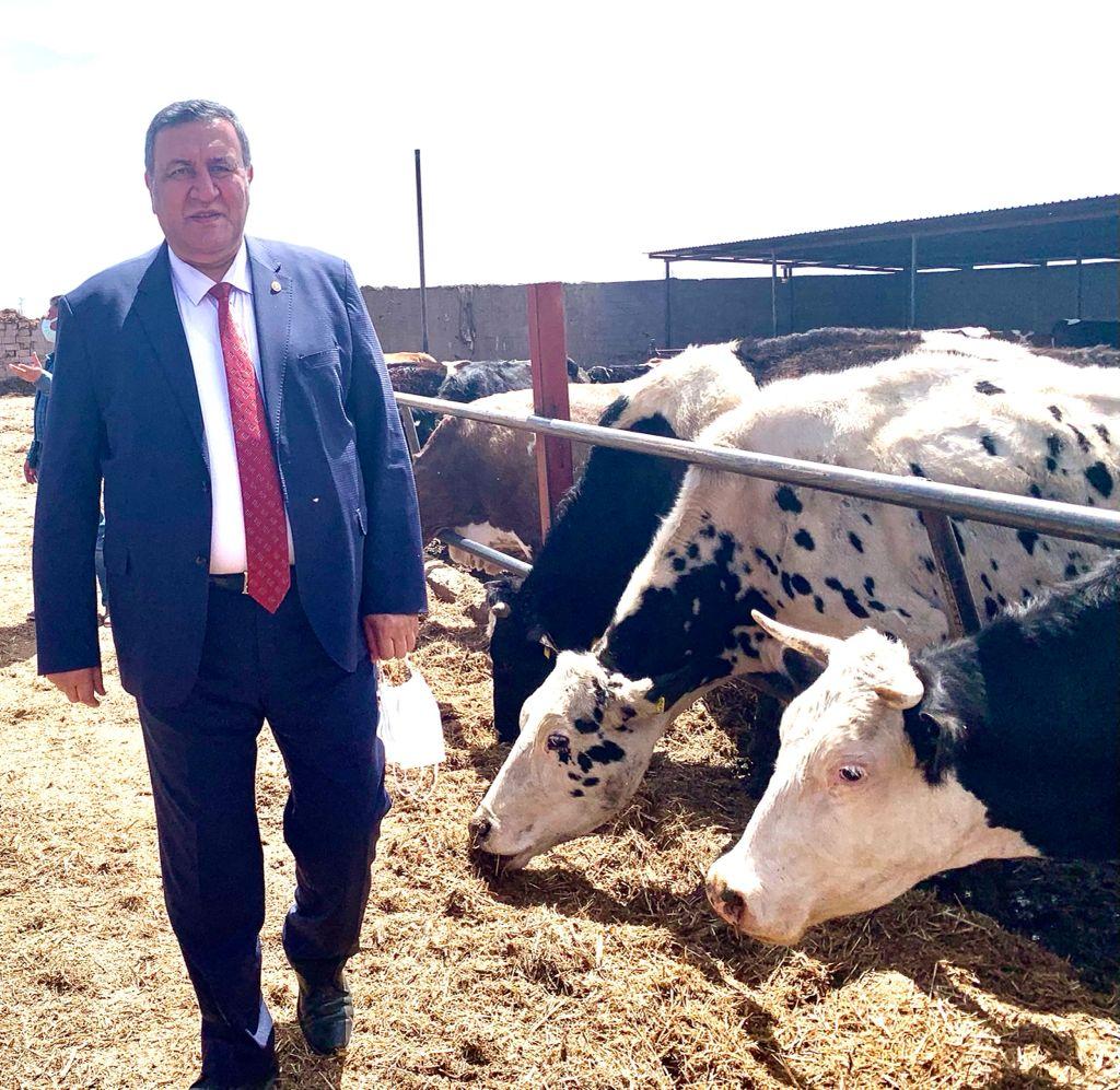 Arpada yaşanan fiyat artışları besiciyi kaygılandırıyor 