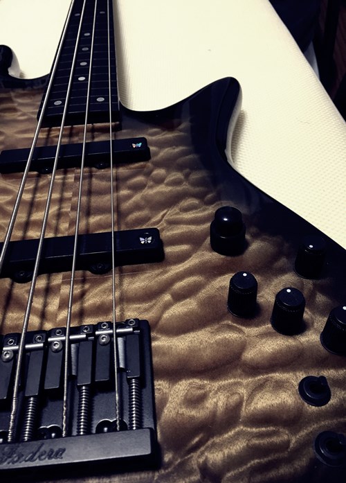 フレットレスベース　詳細不明　プレシジョンタイプ　新品弦に交換しました。 FENDER/JAPAN プレシジョンベースのフレットレス仕様が入荷