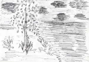 Рисунки, нарисованные карандашом 3