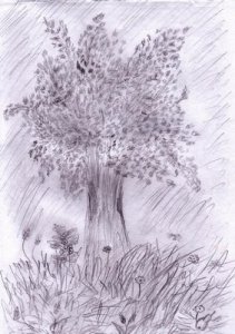 Рисунки, нарисованные карандашом 3