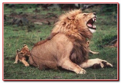 Ох уж эти дети