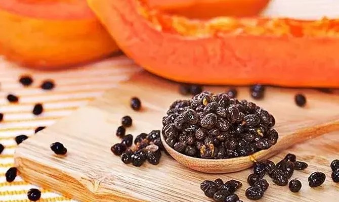Jangan diremehkan, ini 6 manfaat biji pepaya yang jarang diketahui