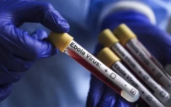 WHO prioritaskan uji vaksin Ervebo untuk wabah Bundibugyo