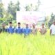 Perempuan Tani Punya Peran Strategis, Kadistan Aceh Utara Dorong Jadi Wirausaha Pertanian