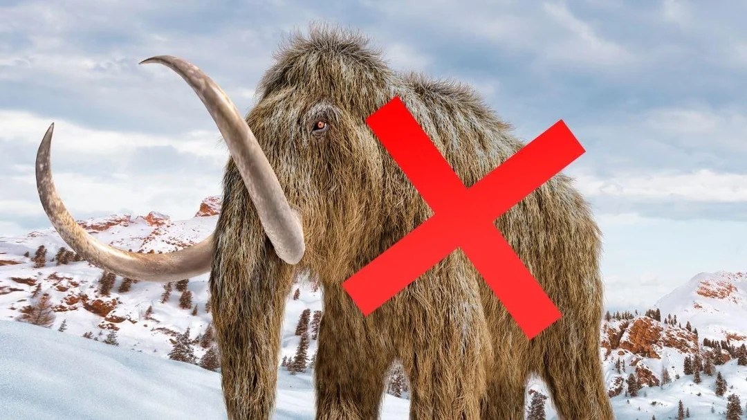 Oasele de mamut s-au dovedit a fi balene: știința nu a putut să deosebească una de alta timp de 70 de ani