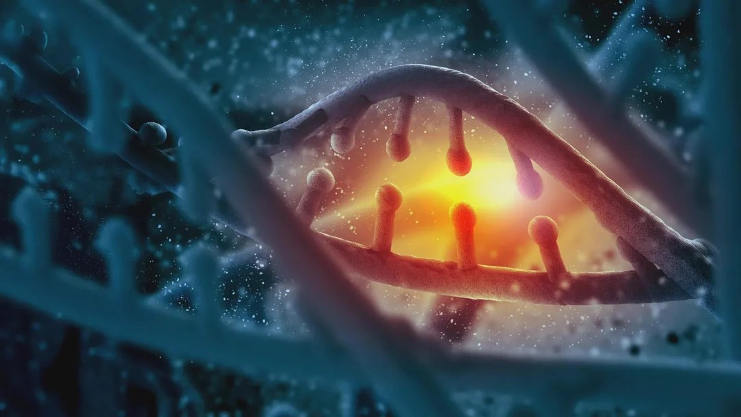 Accelerator genetic: oamenii de știință au găsit „supergene” care accelerează evoluția