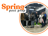 Spring Pest Prevention Tips Bats And Bugs Pest Solutions