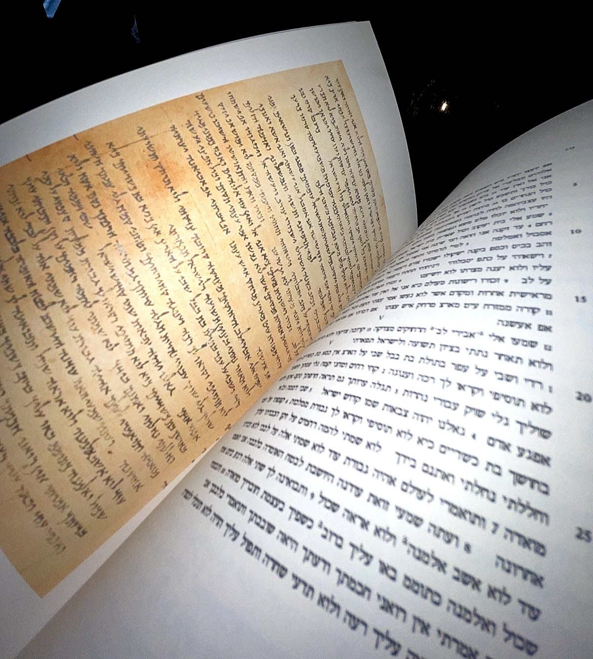 Isaiah Scroll (1QIsa) UltimateStudy (HighRes.SideBySide) - Image 9