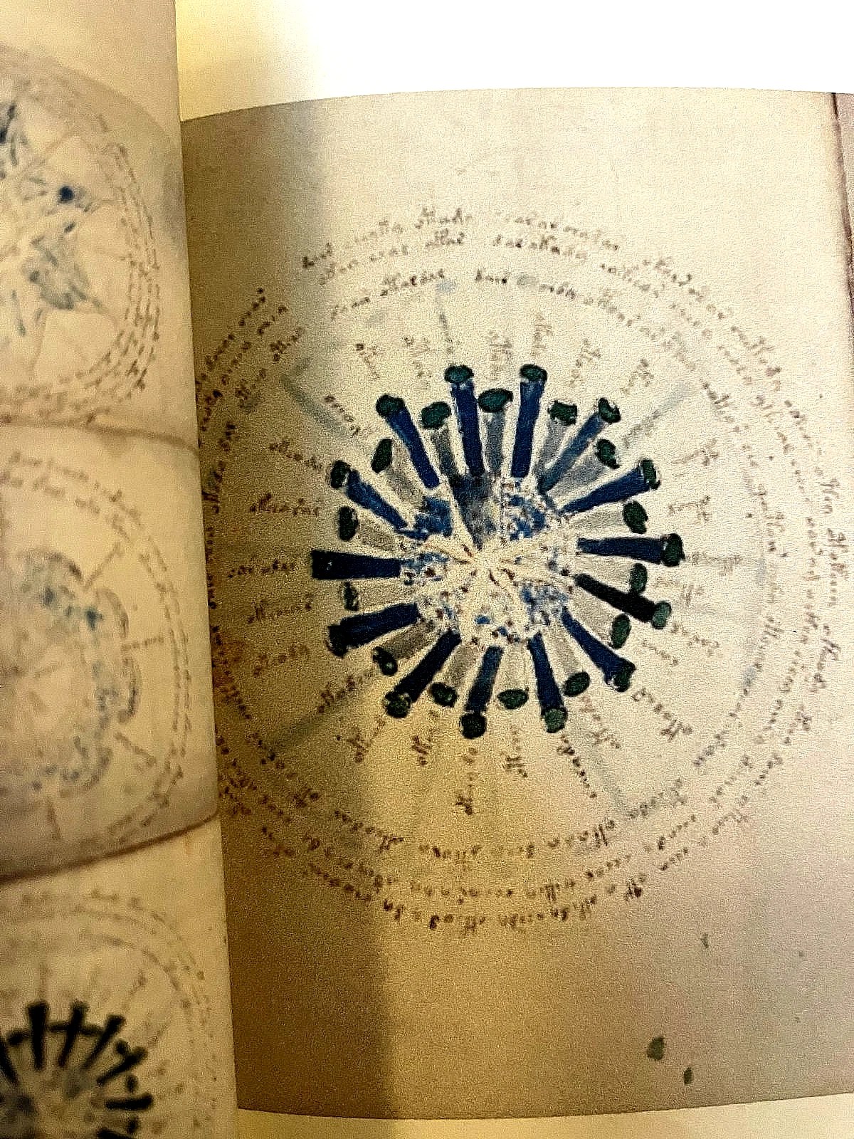 The Voynich Manuscript Full Color Facsimile (Mystery Language) - Image 2