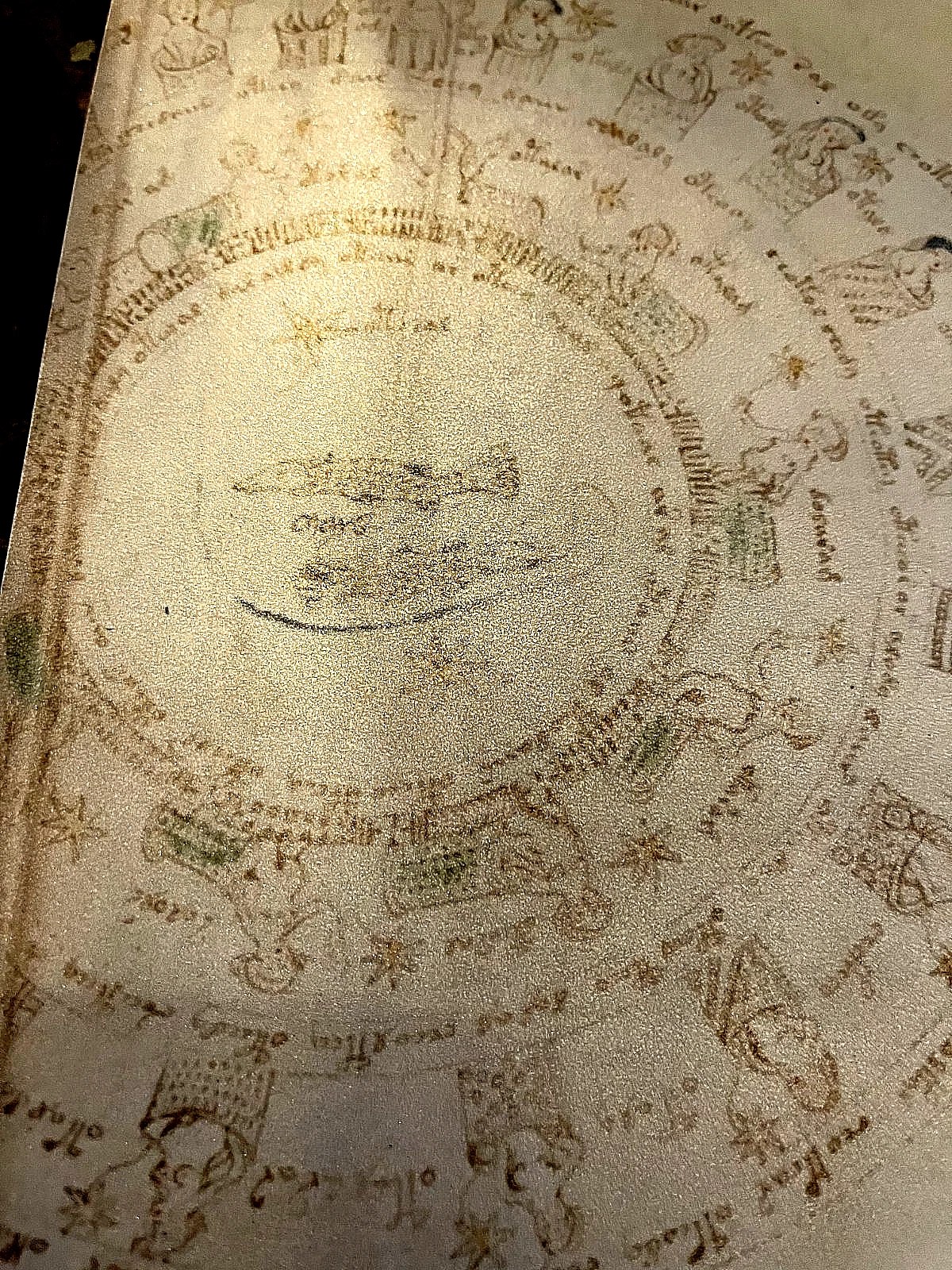 The Voynich Manuscript Full Color Facsimile (Mystery Language) - Image 9