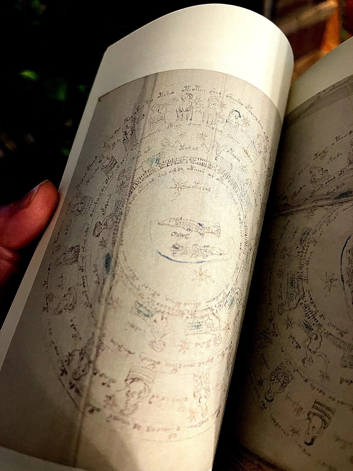 The Voynich Manuscript Full Color Facsimile (Mystery Language) - Image 7