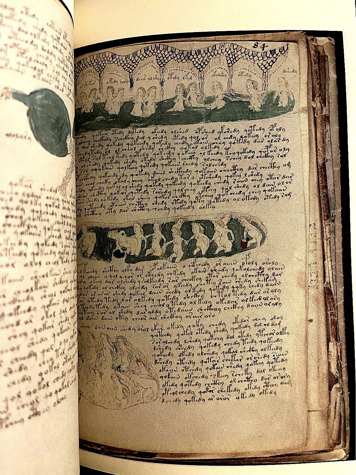 The Voynich Manuscript Full Color Facsimile (Mystery Language) - Image 11