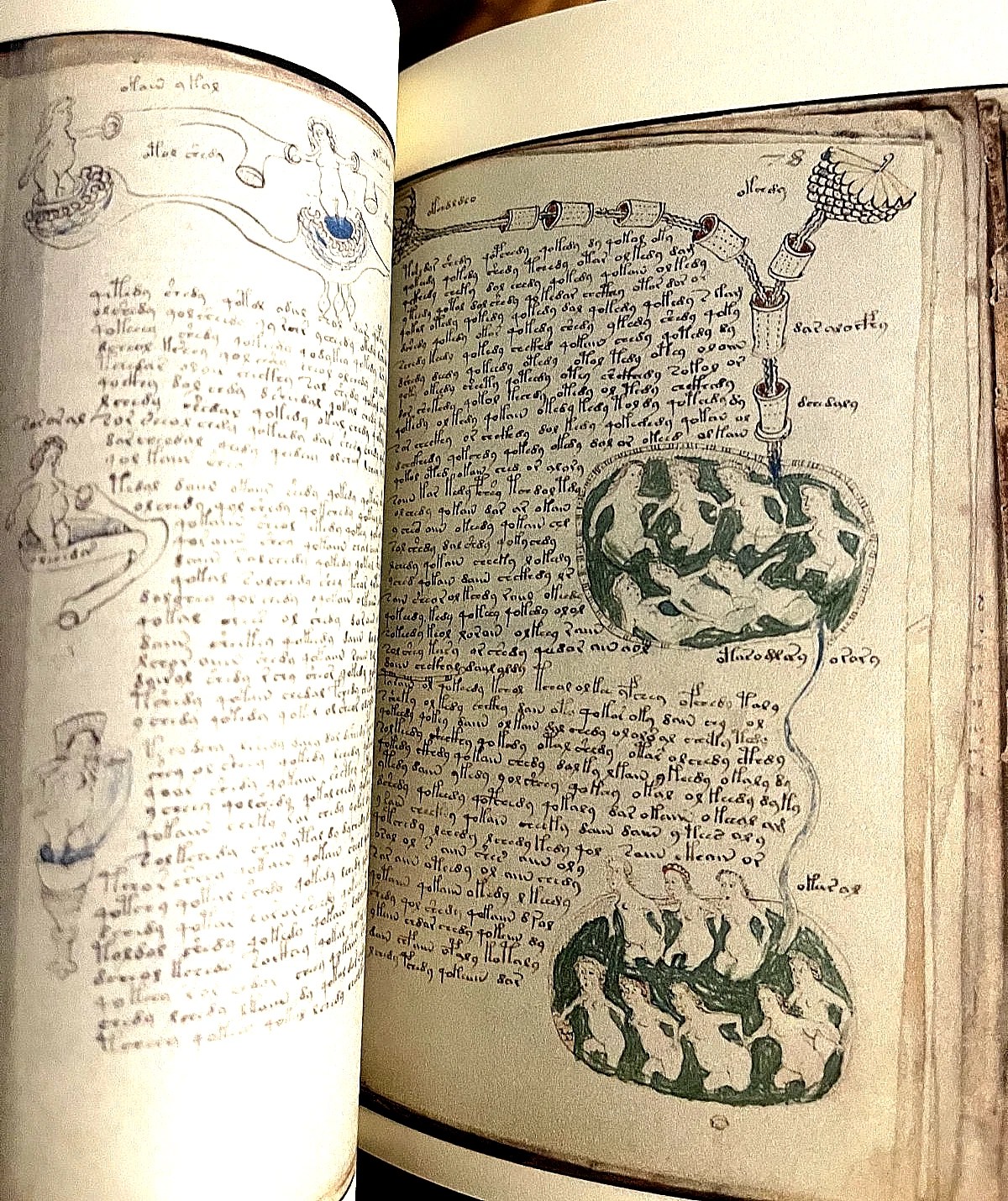 The Voynich Manuscript Full Color Facsimile (Mystery Language) - Image 12