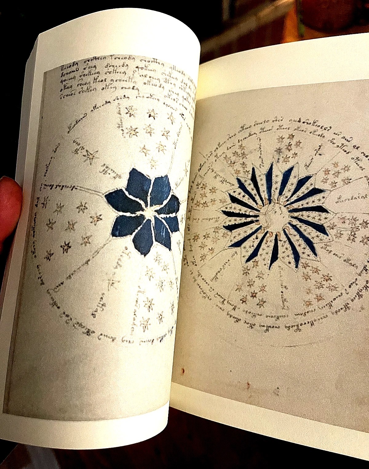 The Voynich Manuscript Full Color Facsimile (Mystery Language) - Image 8