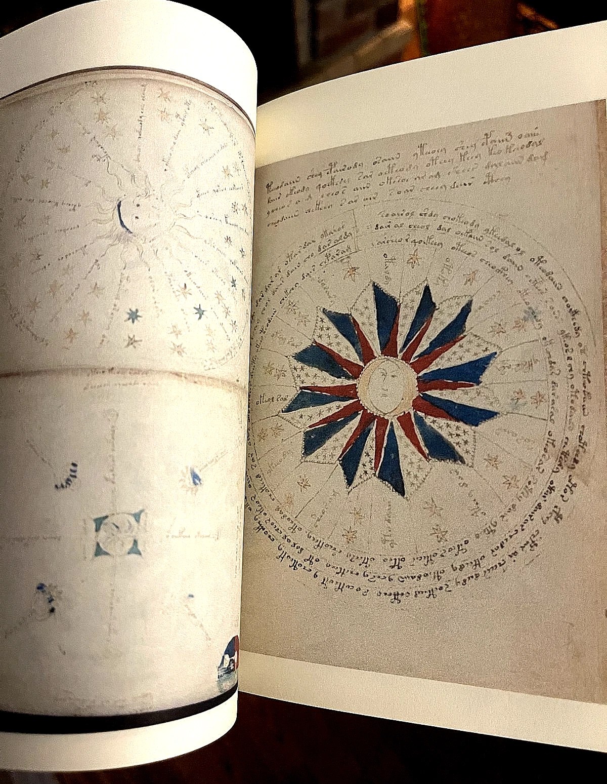 The Voynich Manuscript Full Color Facsimile (Mystery Language) - Image 6