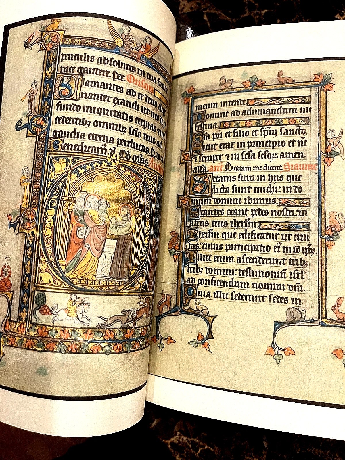 Book Of Hours 1300-1325 AD Color Facsimile (Beautifully Rare for so cheap) - Image 6