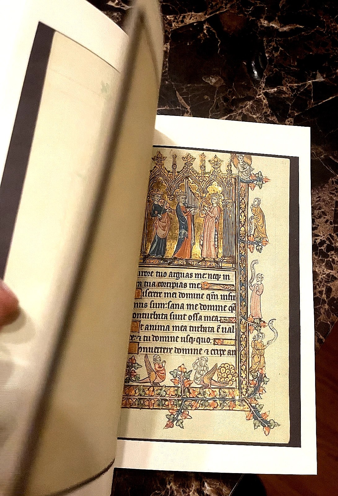 Book Of Hours 1300-1325 AD Color Facsimile (Beautifully Rare for so cheap) - Image 10