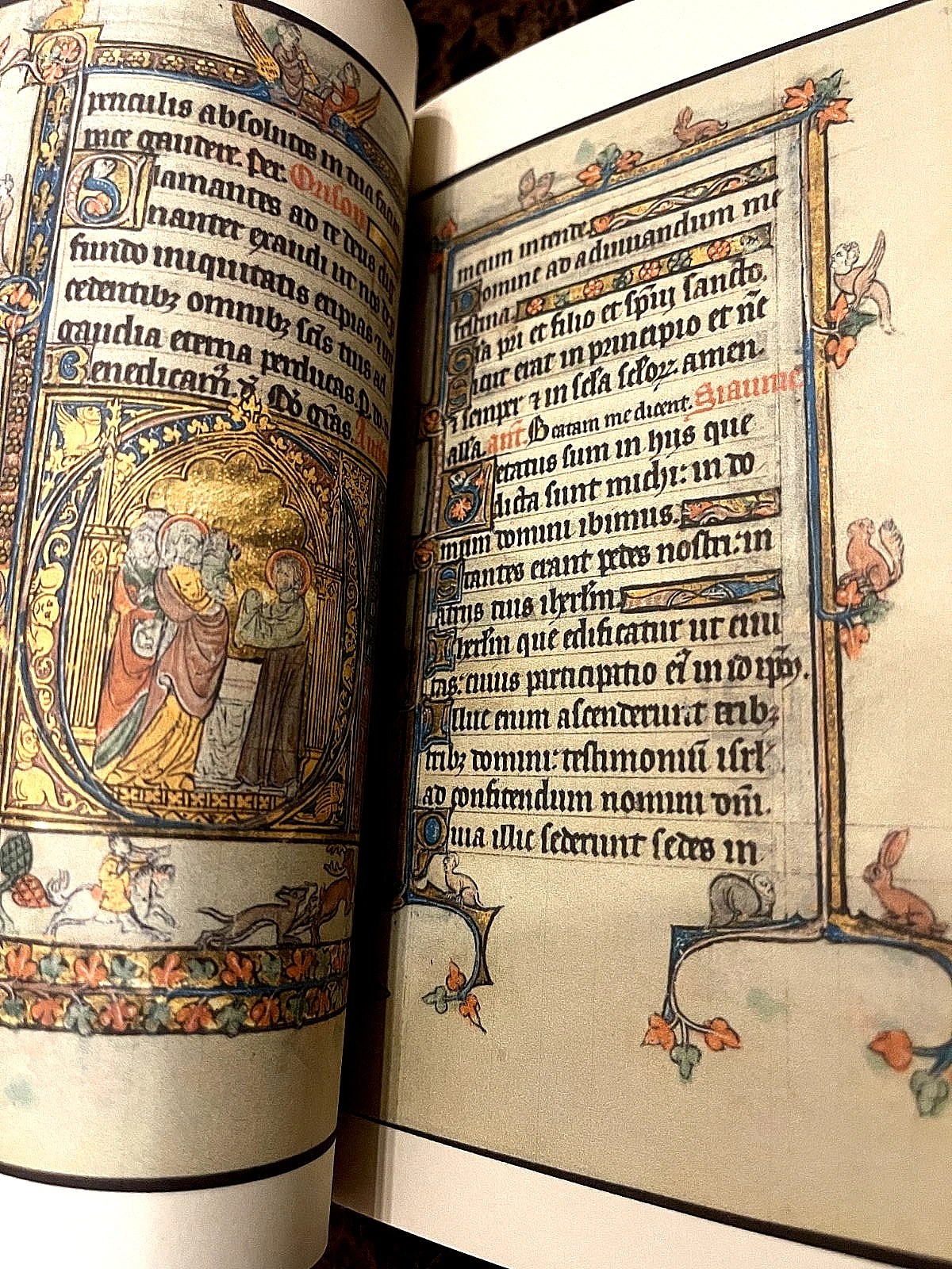 Book Of Hours 1300-1325 AD Color Facsimile (Beautifully Rare for so cheap) - Image 13