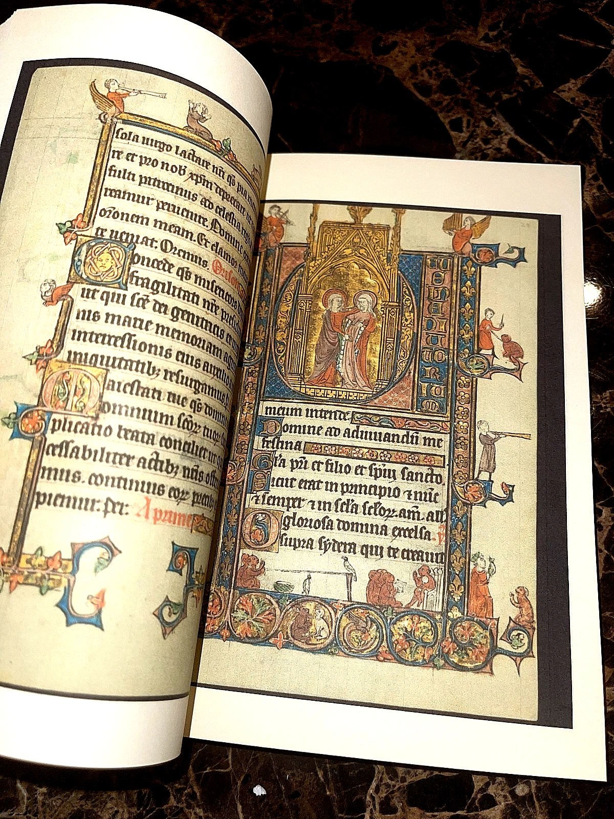 Book Of Hours 1300-1325 AD Color Facsimile (Beautifully Rare for so cheap) - Image 12