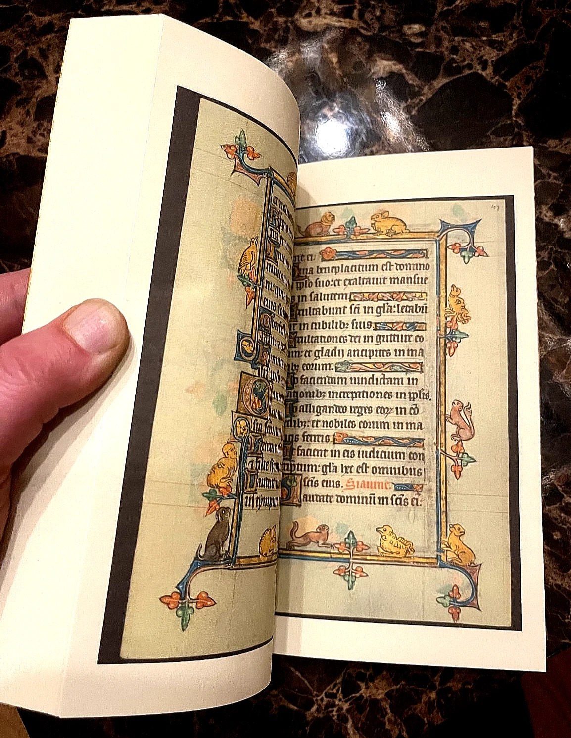 Book Of Hours 1300-1325 AD Color Facsimile (Beautifully Rare for so cheap) - Image 8