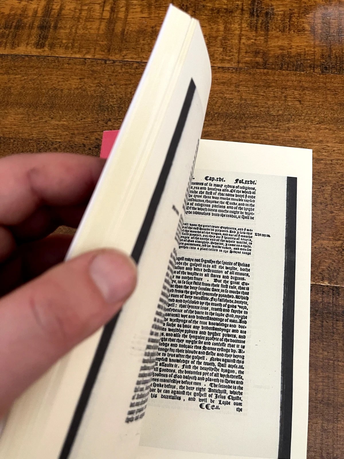 Erasmus' Commentary on Revelation 1549 (Facsimile 1st English Transl) - Image 6