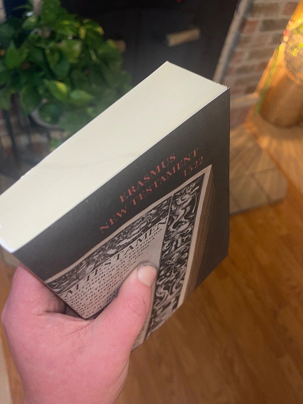 1522 Erasmus Greek Latin New Testament Bible Facsimile (TYNDALE'S SOURCE) - Image 5