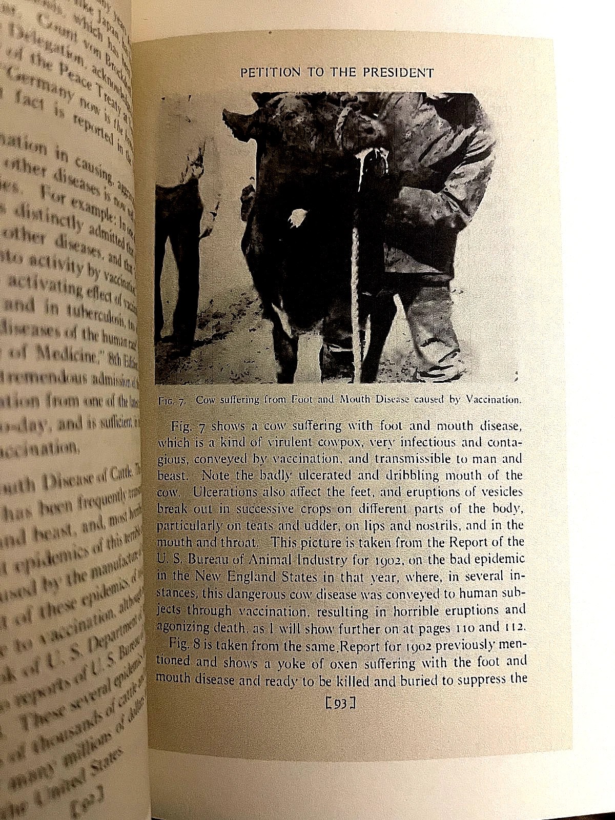 1920 Petition to President HORROS OF VACCINES Facsimile (Exposed/Illustrated) - Image 13