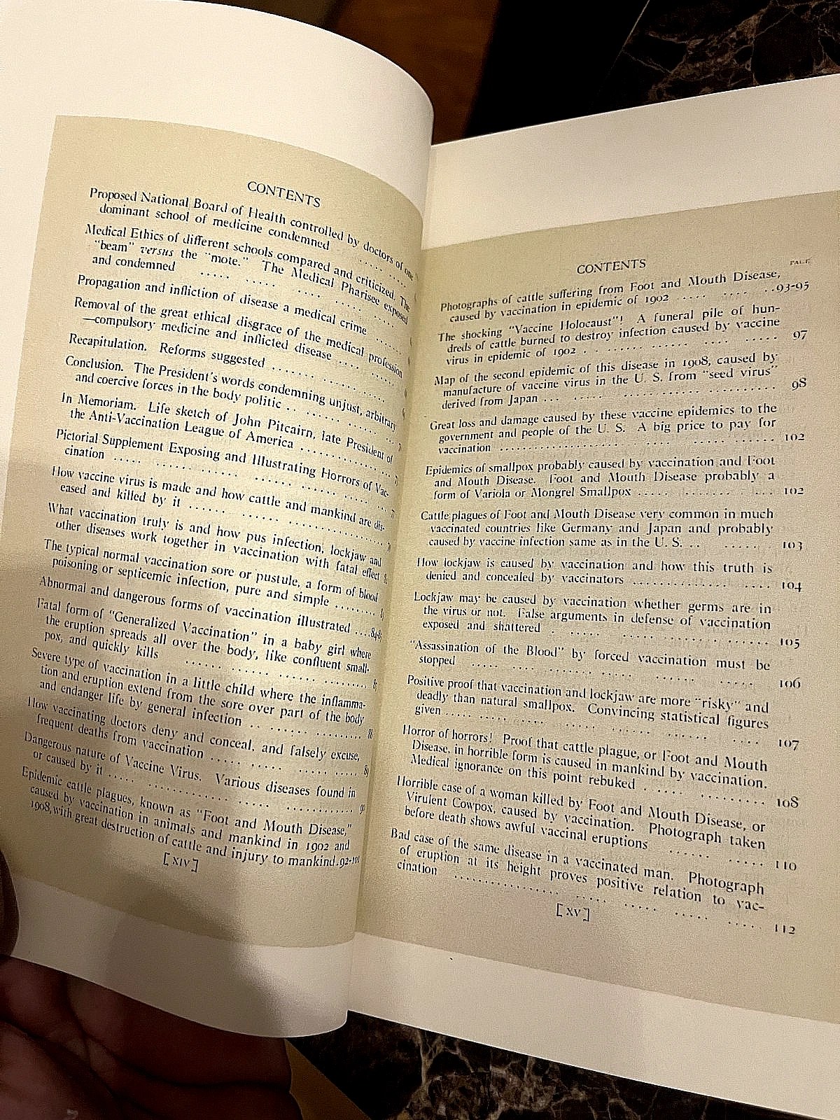 1920 Petition to President HORROS OF VACCINES Facsimile (Exposed/Illustrated) - Image 15