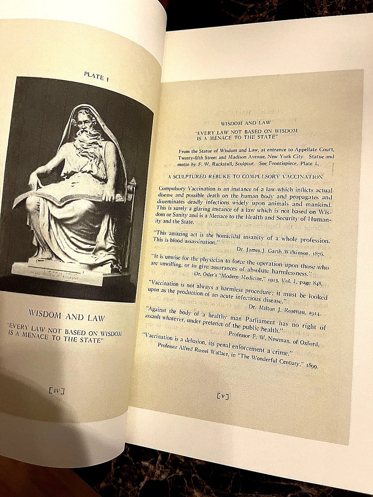 1920 Petition to President HORROS OF VACCINES Facsimile (Exposed/Illustrated) - Image 7