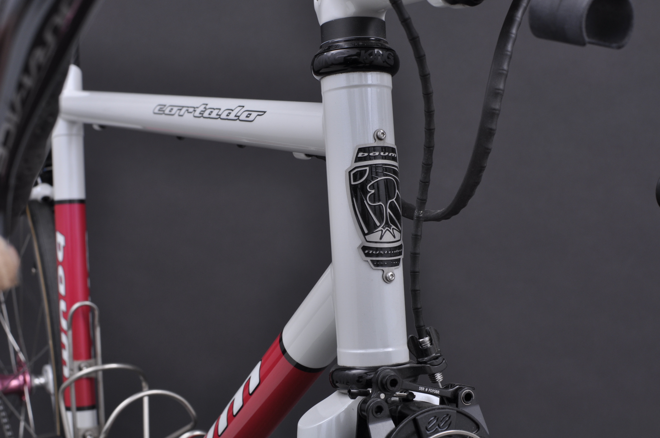 Cortado Head Tube