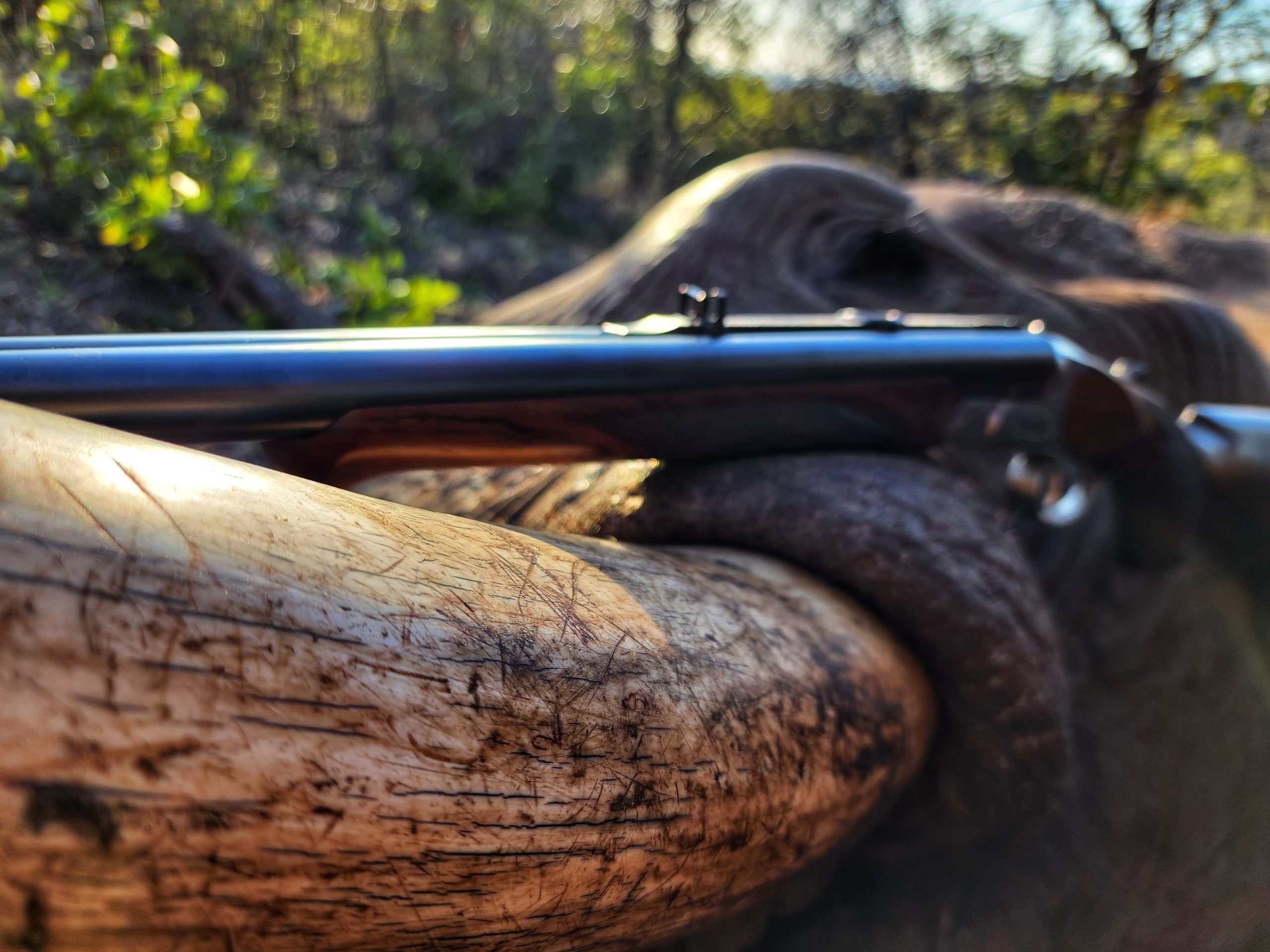 Copy of 20220726_161830-01