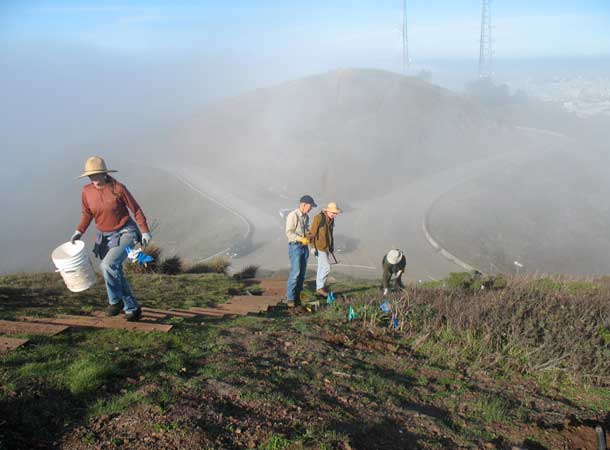 Reimagining the Twin Peaks Bioregion -