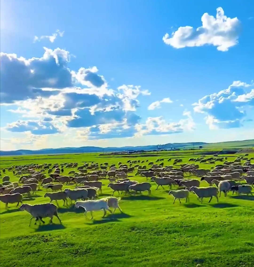 кормовой промышленности