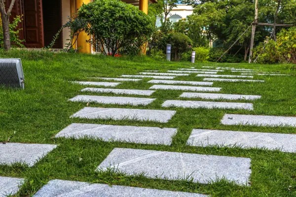 pathways