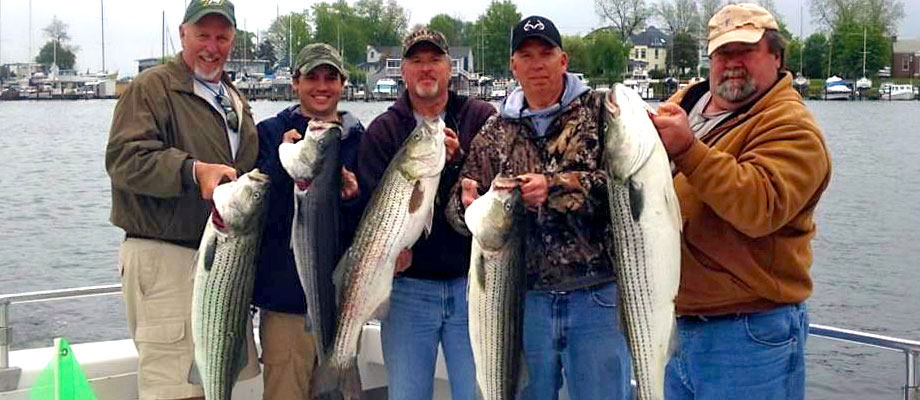 Read more about fish populations and how to preserve them. Bayside Girls Charters | Rock Hall Maryland | Rockfish