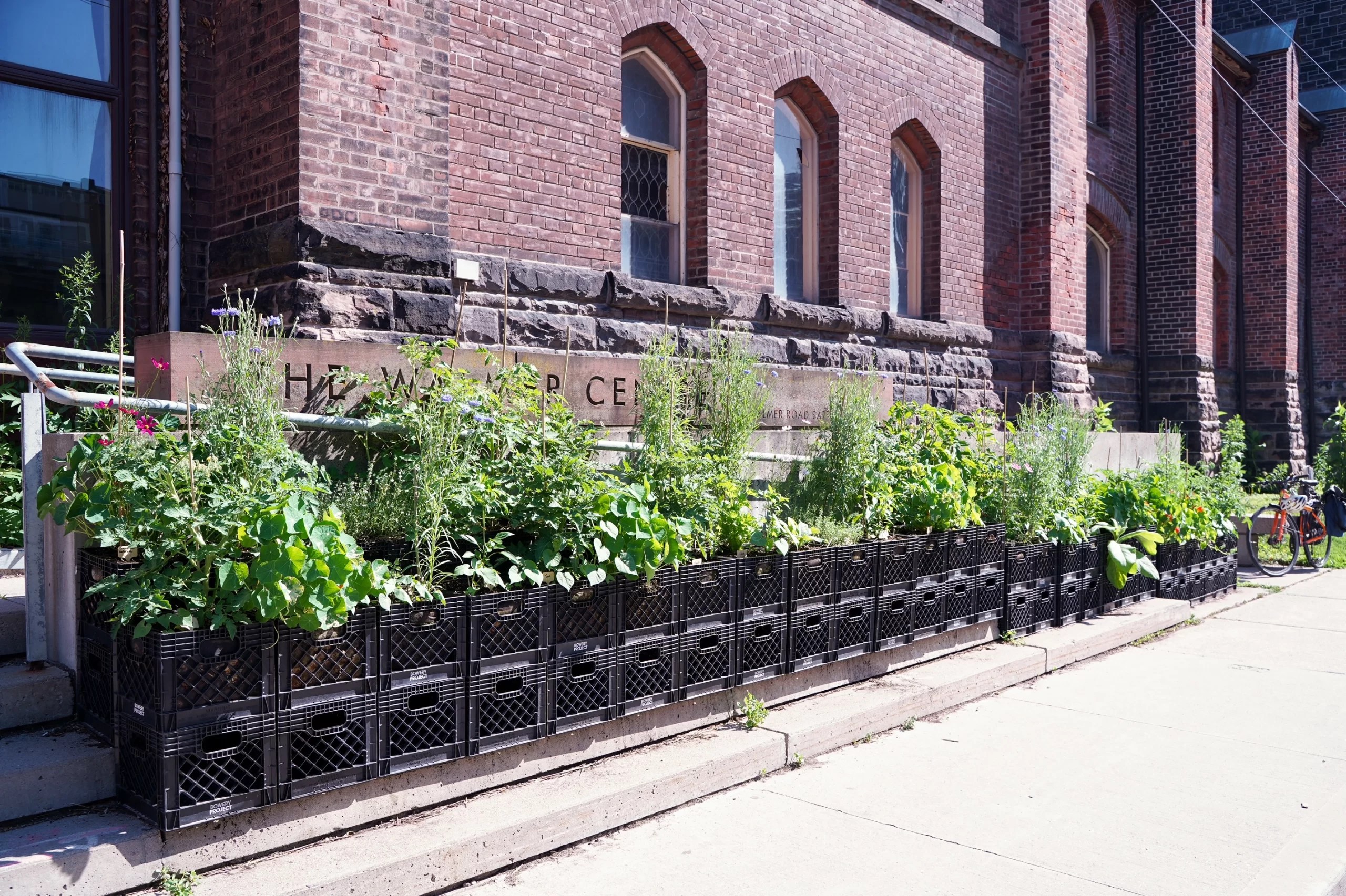 Leaside Garden Society Speaker Series: Urban farming and the Bowery Project, March 12, 2026 /Leaside Garden Society