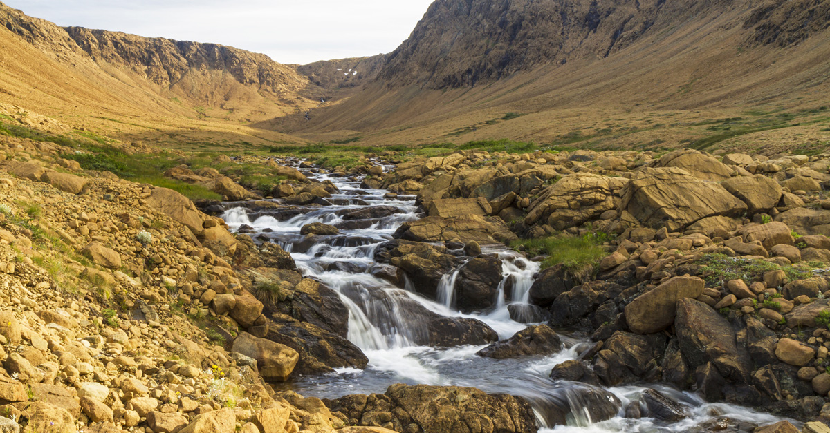 Streams In The Desert