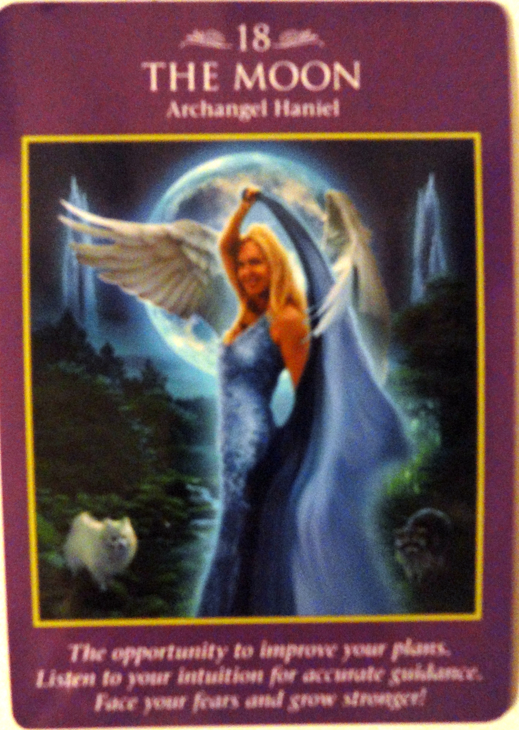 Discount is only valid when used with your tjx rewards credit card. Weekly Angel Oracle Card Reading For December 23 Through 29 Barbara Calvano