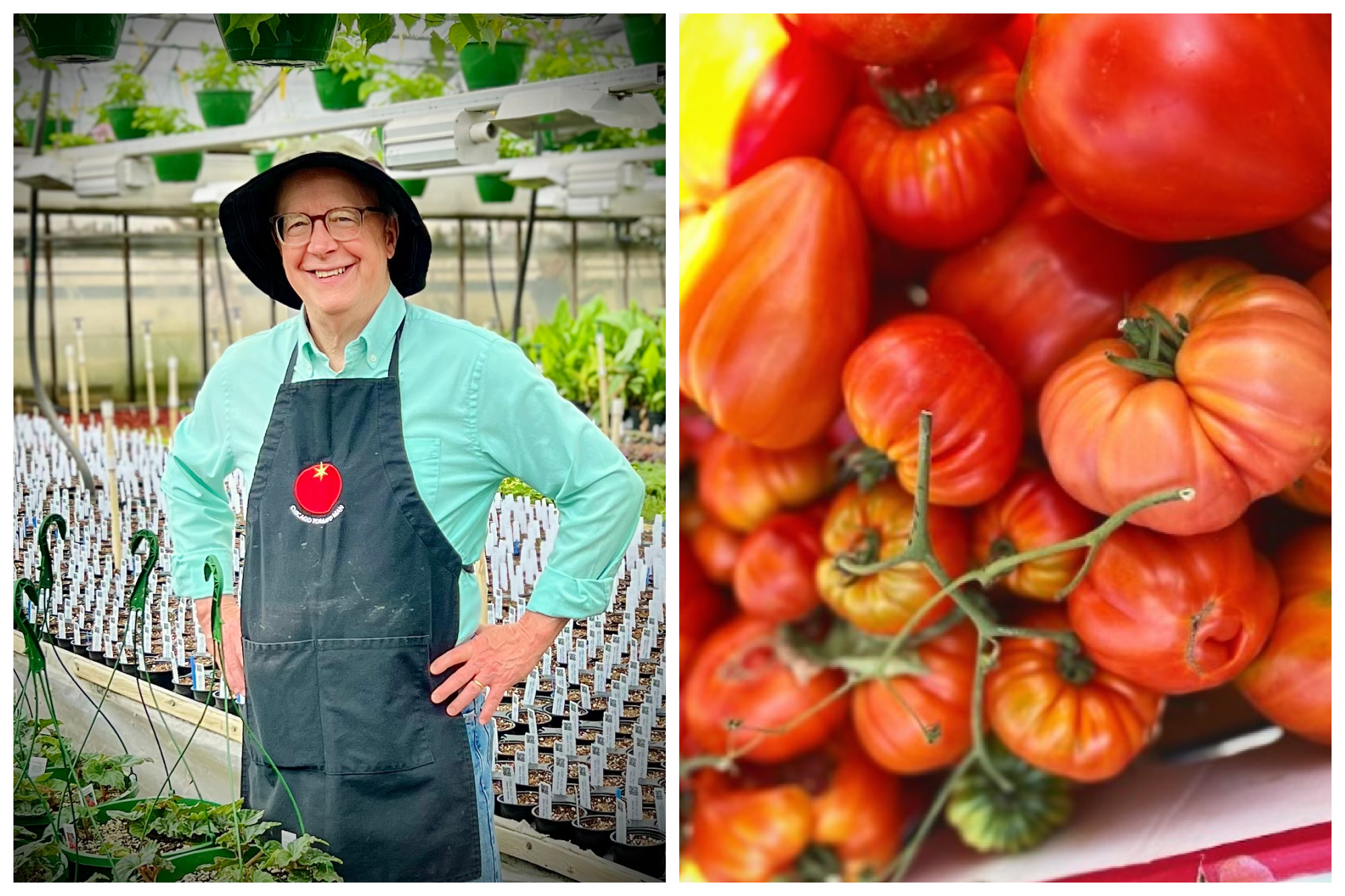 Chicago-Tomato-Man.jpg?fit=