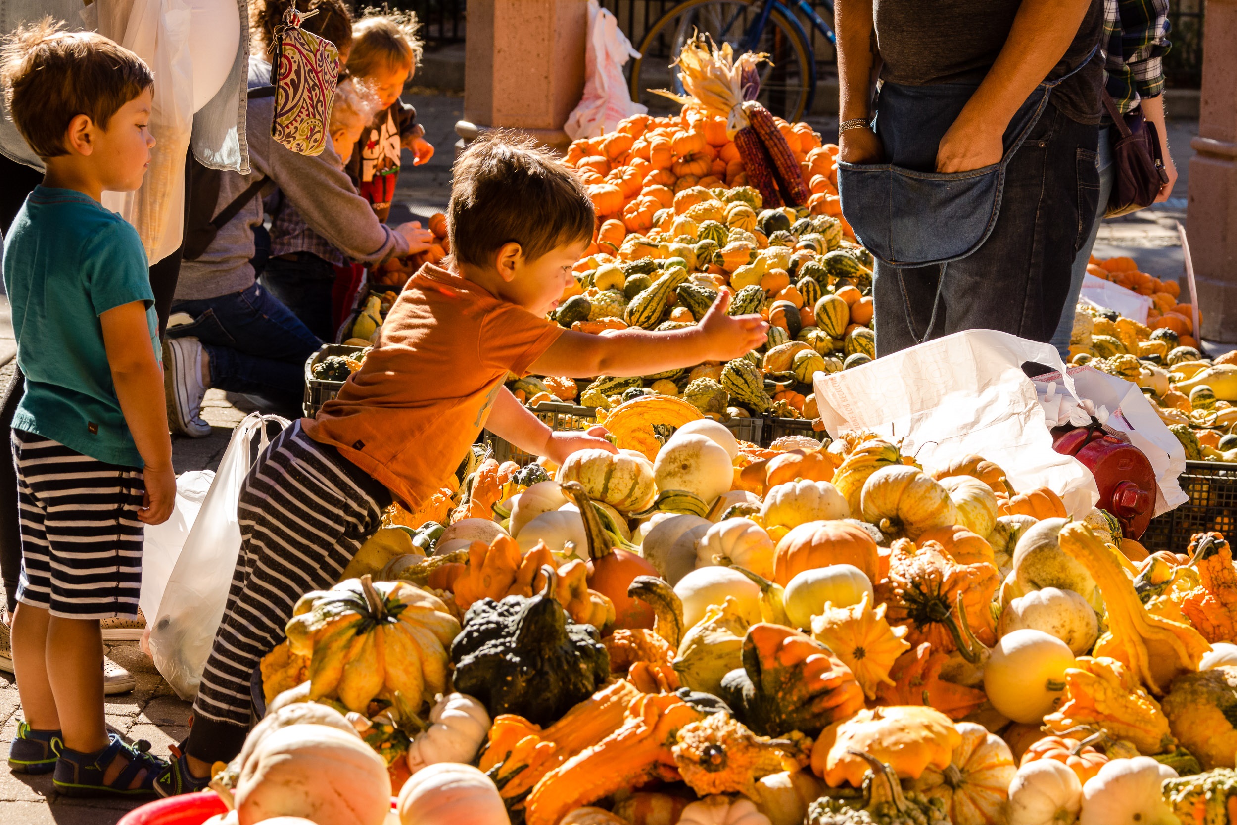 13 Things To Do Outside In Chicago This October