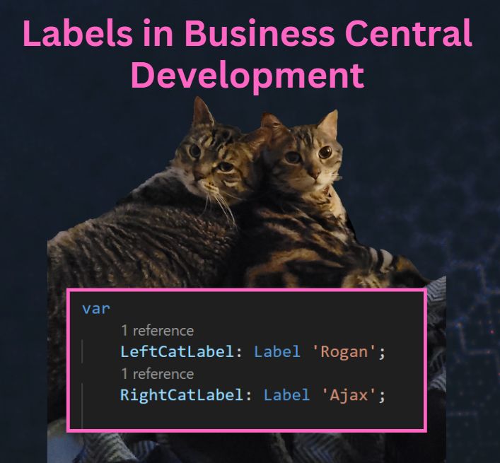 Labels In Business Central Development Bc Development Notebook - Vintage Pictures - Amazing 8K Collection