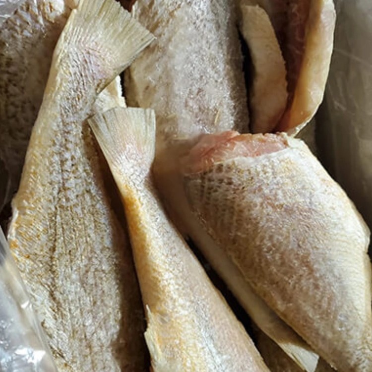 Croaker Fish (Headless)