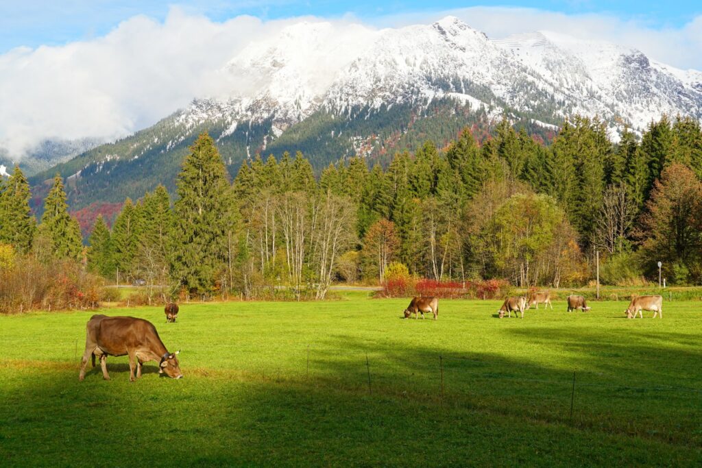 What Every New Rancher Should Know Before Their First Season